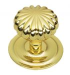 Huge Victorian "Peel" Polished Brass Centre Pull Door Knob (PB668)